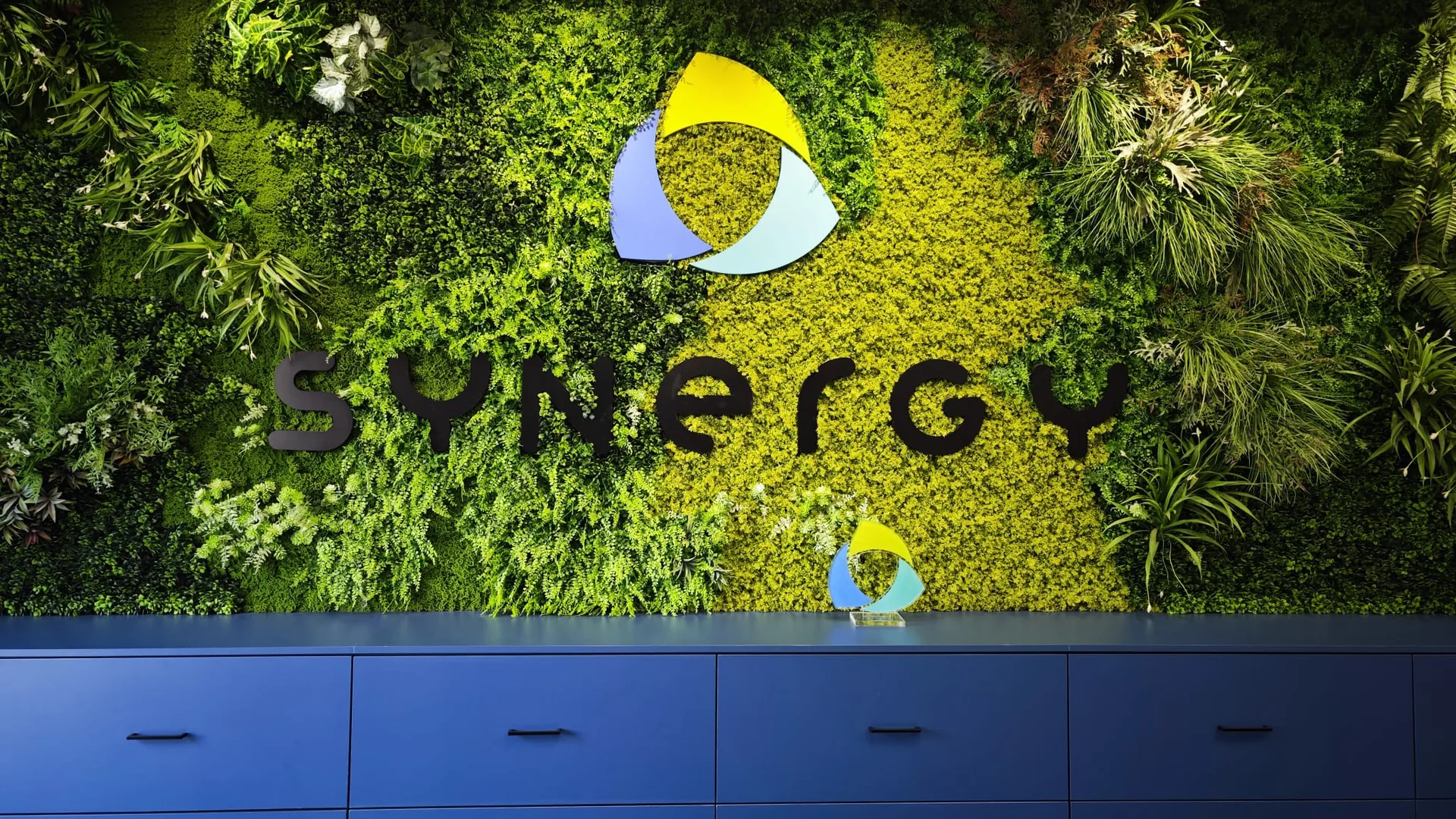 Synergy Insurance Solutions office